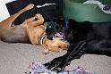 Sandy and Bas_08-05-17_0010